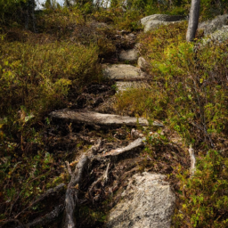 Adirondack Hiking Trails