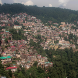 Shimla
