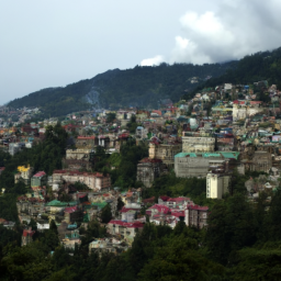 Shimla