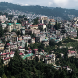 Shimla