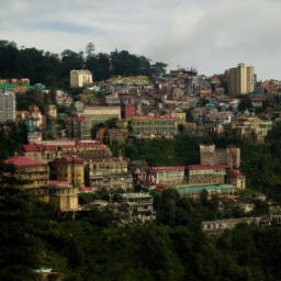 Shimla