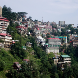 Shimla