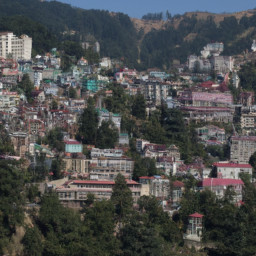 Shimla