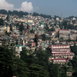 Shimla
