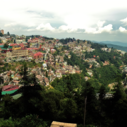Shimla