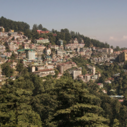 Shimla