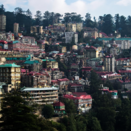 Shimla